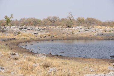 Parktaki nehrin güzel manzarası.