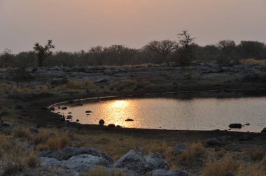 Arka planda göl olan güzel bir göl manzarası