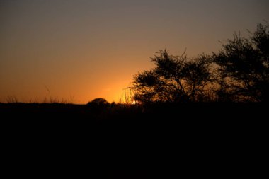 Ormanda güzel bir gün batımı.