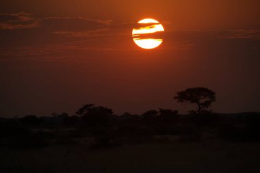 Çölde güzel bir gün batımı