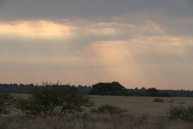 Doğanın güzel manzarası