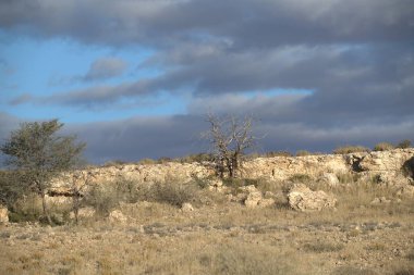 Doğanın güzel manzarası