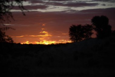 Denizin üzerinde güzel bir gün batımı