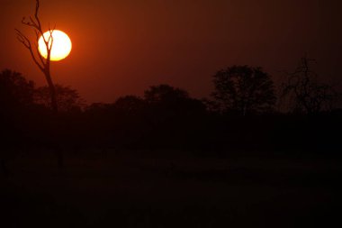Parkta gün batımı