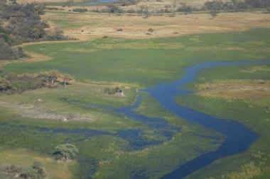Ormandaki nehrin havadan görünüşü