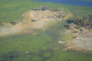 İsrail 'in kuzeyindeki dağların güzel nehri manzarası.