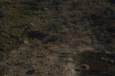 New York Adası 'nın havadan görünüşü.