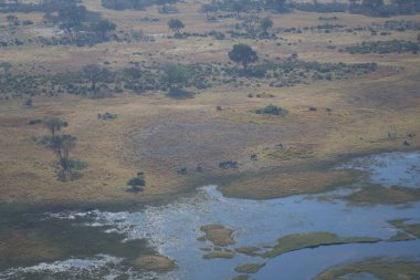 Doğanın güzel hava manzarası
