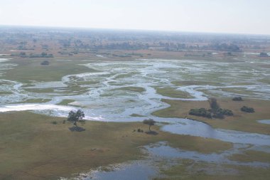Gölün ormanındaki nehir.