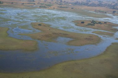 Sabahları nehrin havadan görünüşü