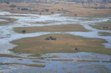 Doğanın güzel manzarası