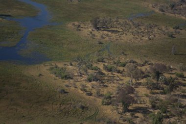 Ormandaki nehrin havadan görünüşü