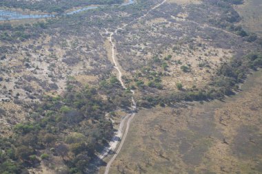 Ormanın güzel manzarası