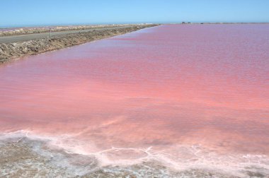 Deniz kıyısının güzel manzarası