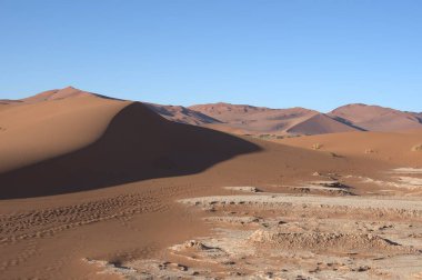 Doğanın güzel manzarası
