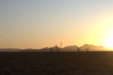 Denizin üzerinde güzel bir gün batımı. doğa arkaplanı