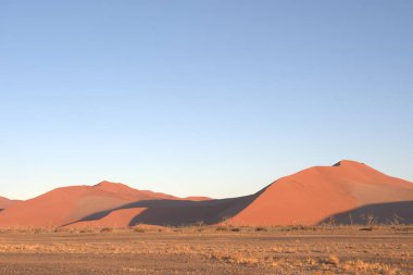 Namib Çölü, Sususvlei, Namibya