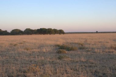 Akşamları bozkırın manzarası