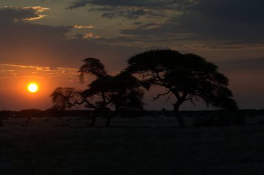 Denizin üzerinde güzel bir gün batımı