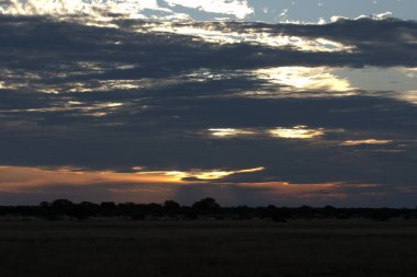 Tarlanın üzerinde güzel bir gün batımı