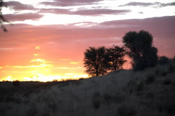 Gölün üzerinde güzel bir gün batımı