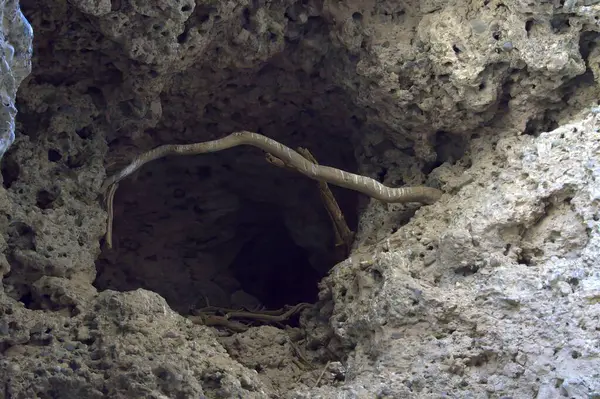 Çölde bir mağara.