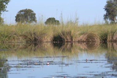 Nehir ve gölü olan güzel bir manzara.