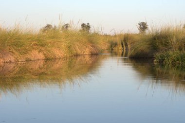 Doğanın güzel manzarası