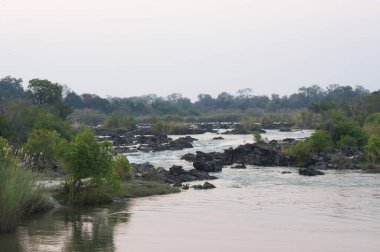 Parktaki nehrin güzel manzarası