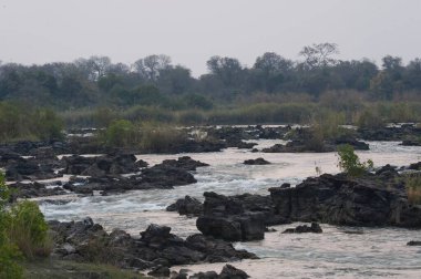 Güzel manzara. doğa arkaplanı