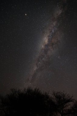 Gece gökyüzünde Samanyolu Galaksisi