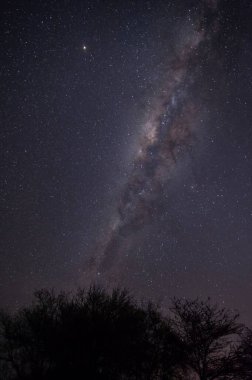Gece gökyüzünde Samanyolu Galaksisi