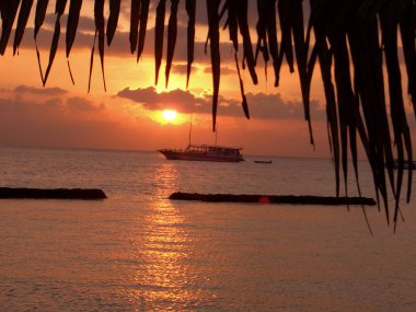 Karayip denizindeki sahilde gün batımı