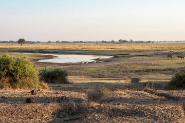 Arka planda bir nehir olan güzel bir manzara.