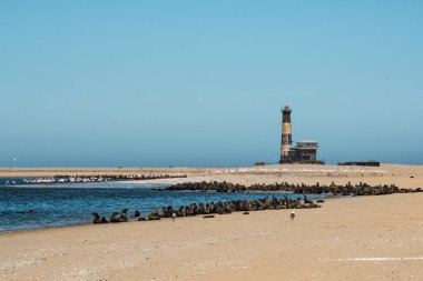İsrail 'in kuzeyindeki Akdeniz adası,