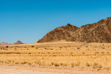 Fas 'ın güzel manzarası