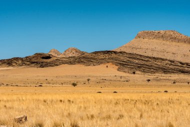Çölde kuru çimenler, mavi gökyüzü ve bulutlar.