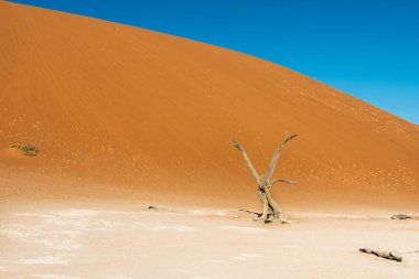 Namib Naukluft Ulusal Parkı 'ndaki kum tepeleri