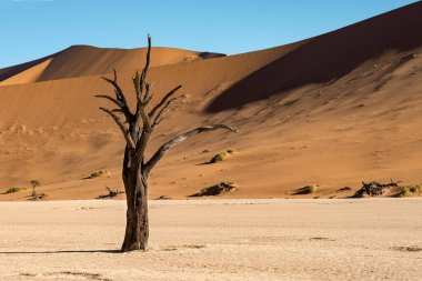 Namibya manzarası, namib kluft milli parkı, ft, namibya