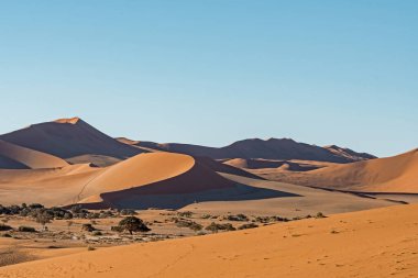 Susvg, susvsvsvlei, svsvlei, namib naukluft national