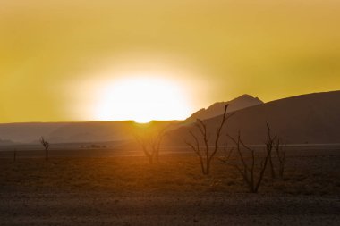 Namibya 'da güzel bir çölde gün doğumu.