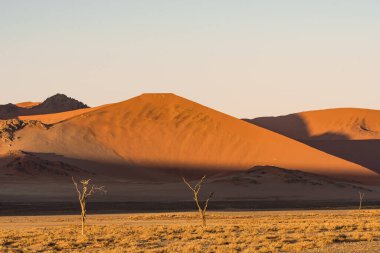 Sahara, Namibya 'da çöl olan güzel bir manzara.
