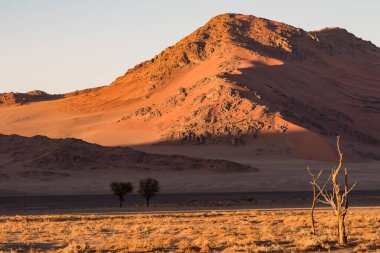 Namibya 'daki namib çölünün manzarası