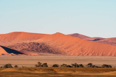 Namib Naukluft Ulusal Parkı 'nın güzel manzarası, Namibya