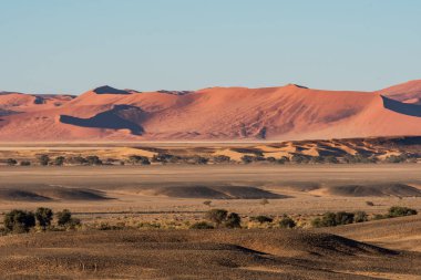 Namib Naukluft Ulusal Parkı 'nın güzel manzarası, Namibya