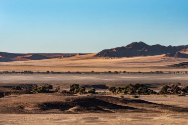 Arkasında bir dağ olan güzel bir manzara.