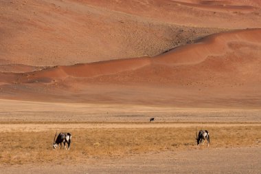 Güzel dağ manzarası. doğa arkaplanı