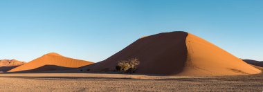 Çölün güzel manzarası, Namib Naukluft Ulusal Parkı Namibya