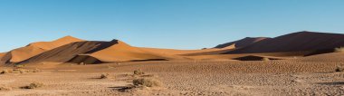 Namib çölünün kum tepeleri güzel kum tepeleri, namibya, Afrika