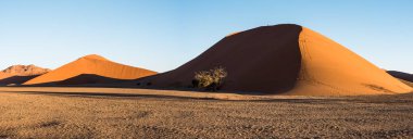Namib Naukluft Ulusal Parkı 'ndaki güzel çöl manzarası